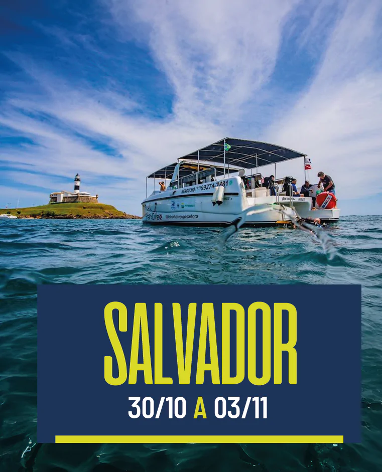 Salvador 30/10 a 03/11