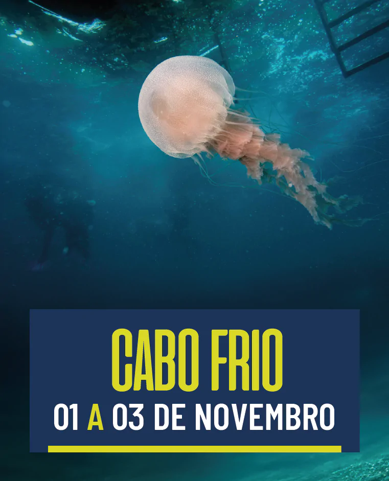 Cabo Frio 01/11 a 03/11
