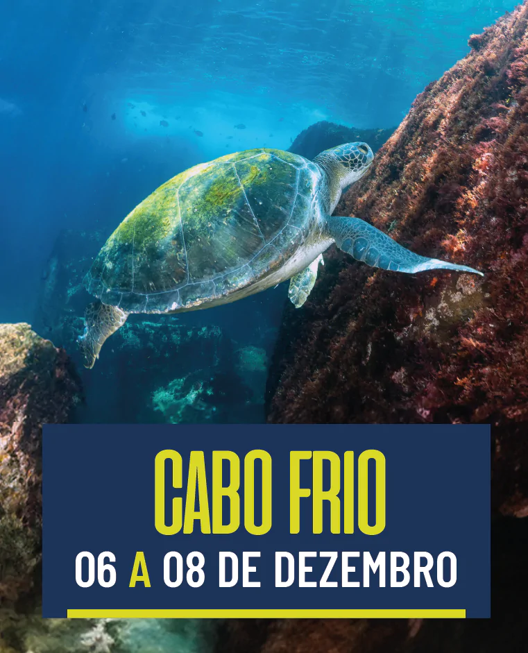 Cabo Frio 06/12 a 08/12