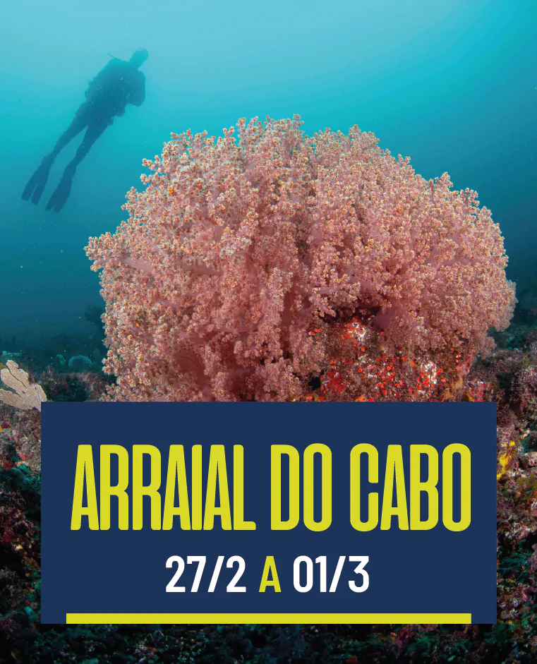 Arraial do Cabo 27/2 a 01/3