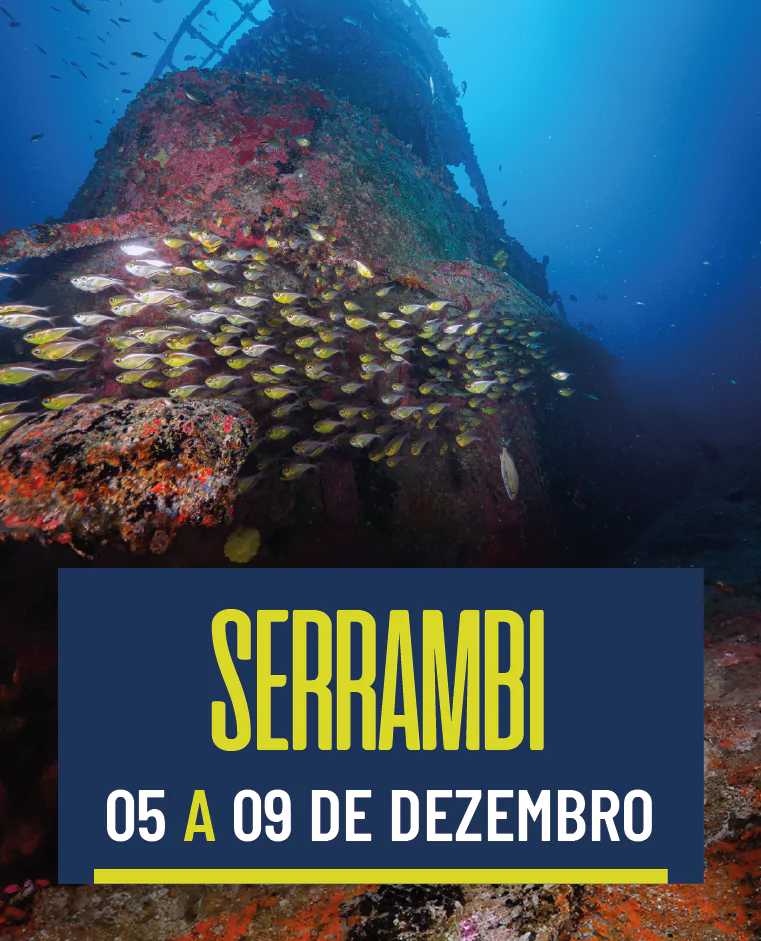 Serrambi 5/12 a 9/12