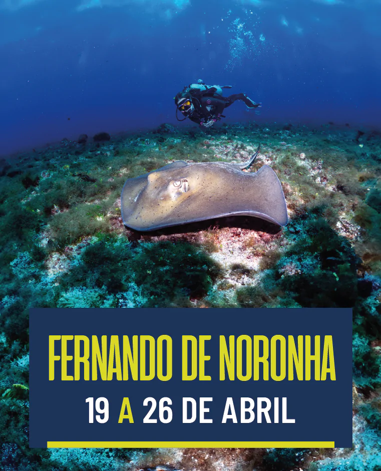 Fernando de Noronha 19/4 a 26/4