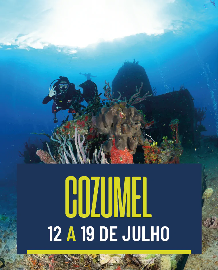 Cozumel 12/7 a 19/7