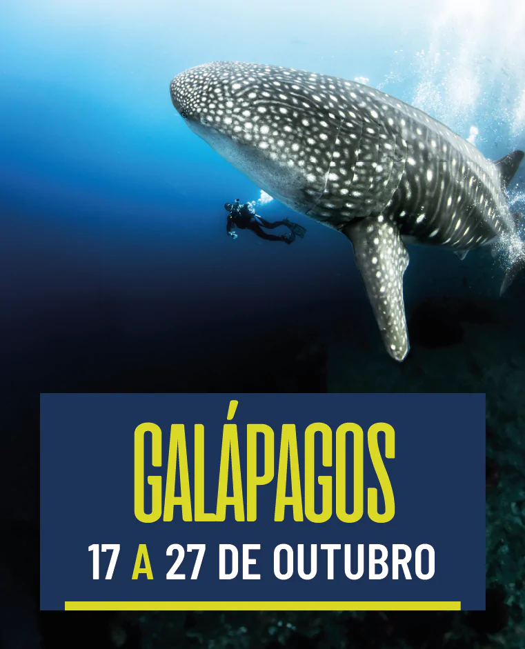 Galápagos 17/10 a 27/10