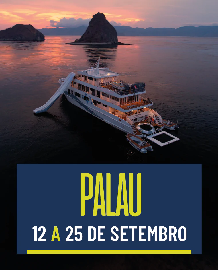 Palau 12/9 a 25/9