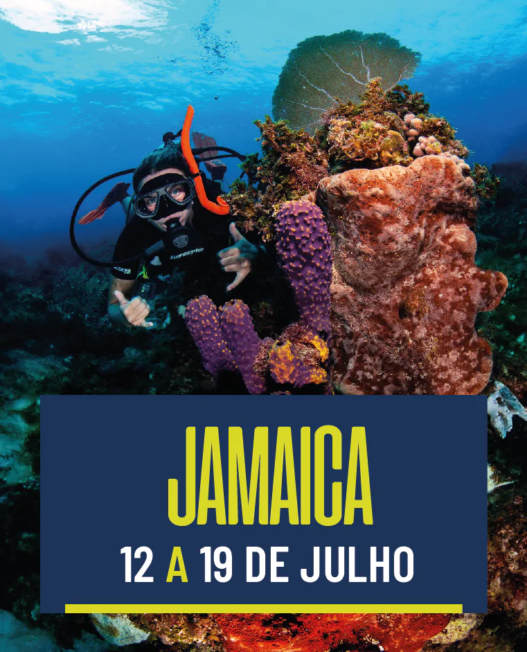 Jamaica 12/7 a 19/7