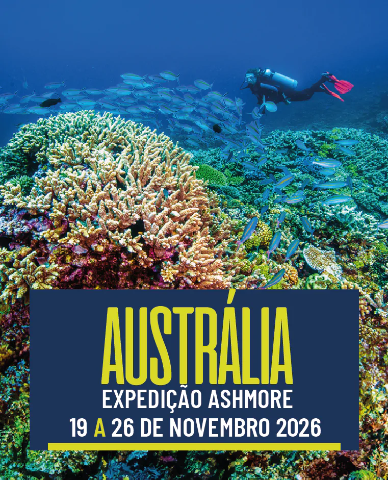 Austrália – Expedição Ashmore 19/11 a 26/11