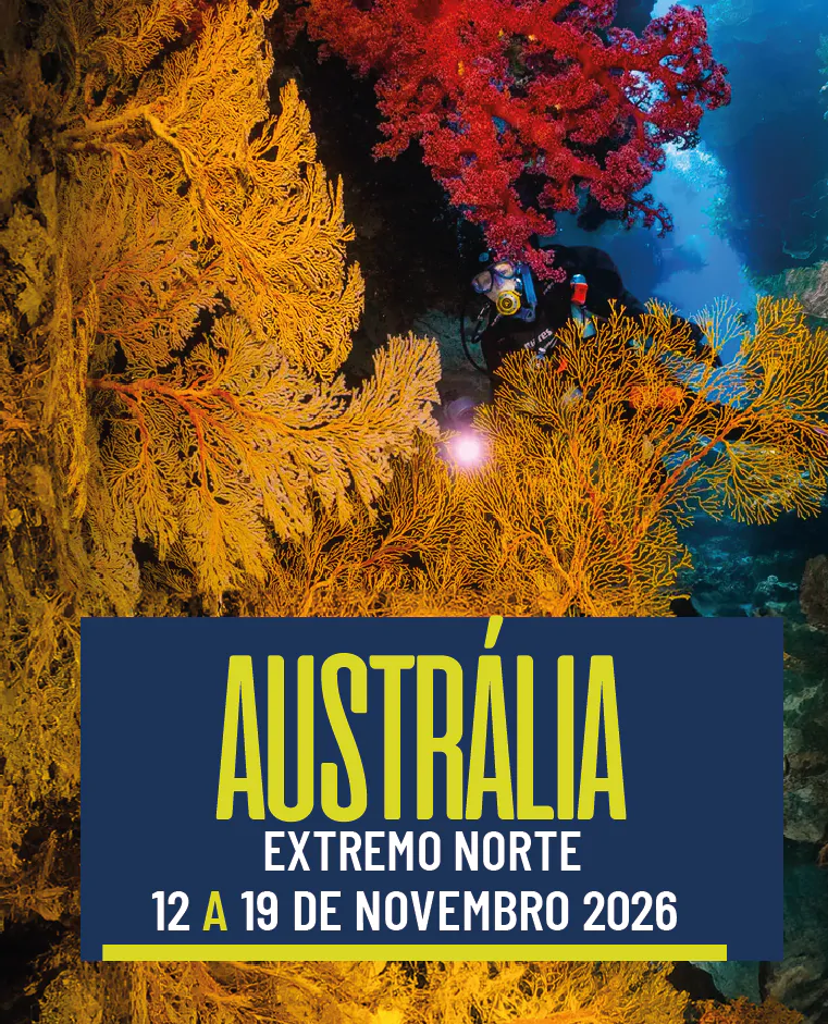 Austrália – Extremo Norte 12/11 a 19/11