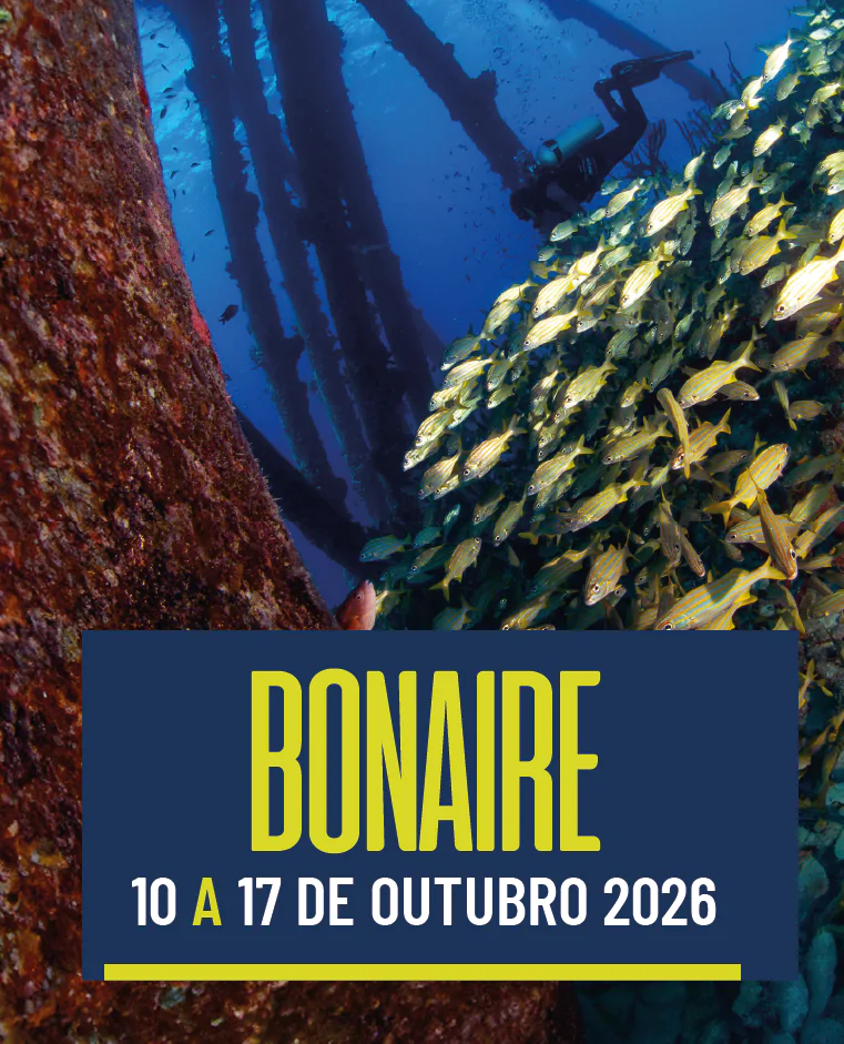 Bonaire 10/10 a 17/10