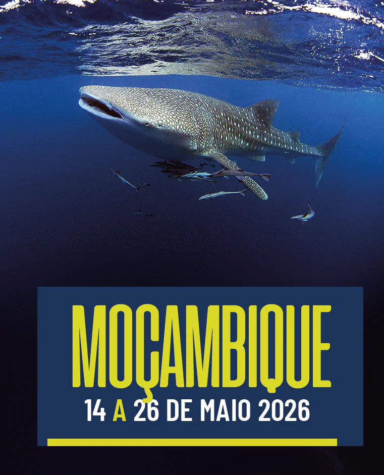 Moçambique 14/5 a 26/5