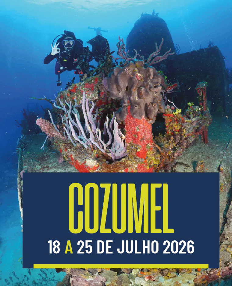 Cozumel 18/07 a 25/07