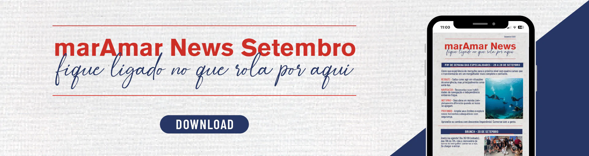 Newsletter destaque