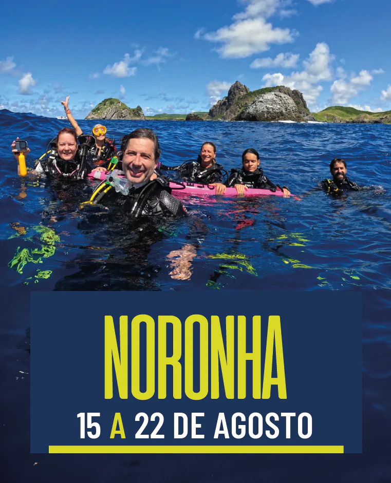 Fernando de Noronha 15/08 a 22/08