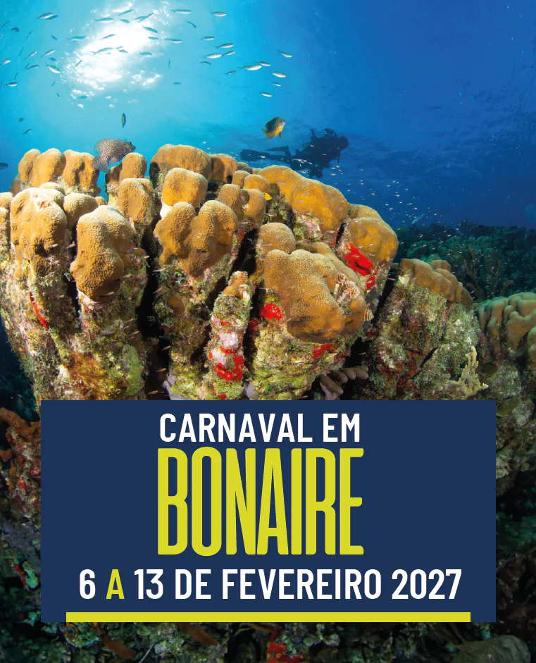 Bonaire 6/2 a 13/2