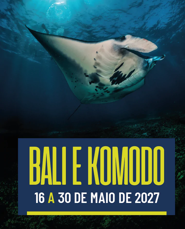 Bali & Komodo 16/05 a 30/05