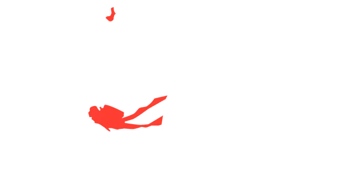 Aggressor Liveaboards — Dream, Dive, Discover